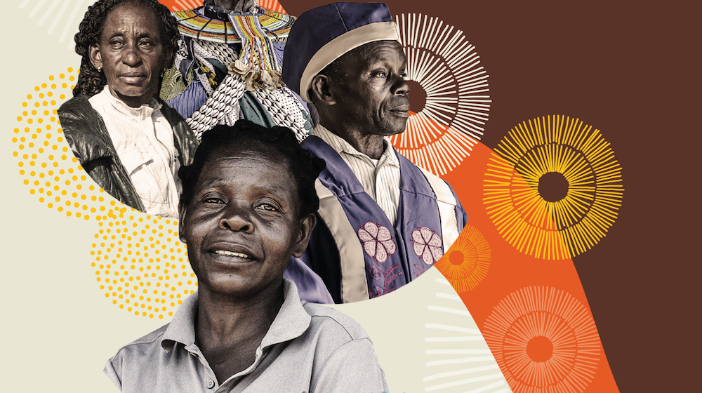 Rapid Review of Healthy Ageing and Long-term Care Systems in East and Southern Africa