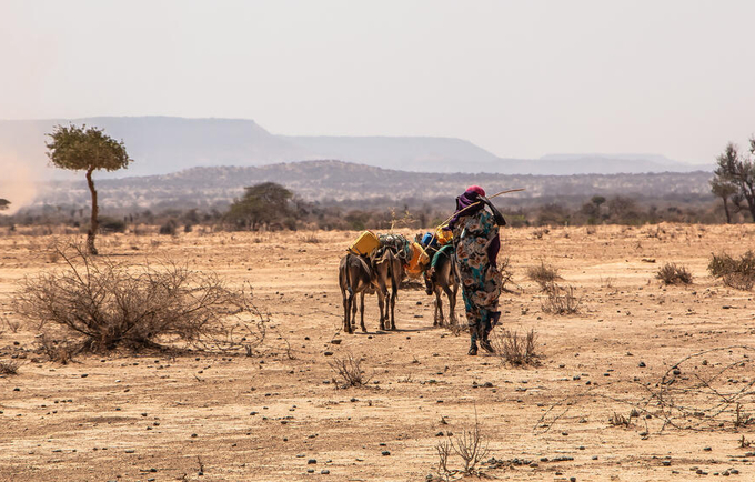 In Ethiopia's Somali region, a camp in the village of Gabi’as shelters hundreds of households displaced by drought.