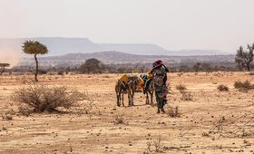 In Ethiopia's Somali region, a camp in the village of Gabi’as shelters hundreds of households displaced by drought.
