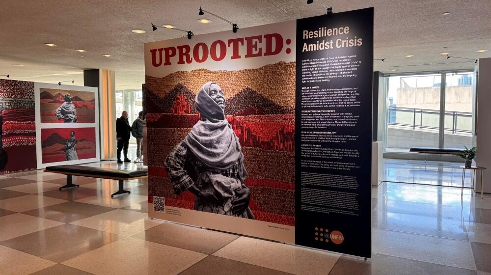 Photo shows Cyan´s artwork exhibited at the UN Headquarters in New York.