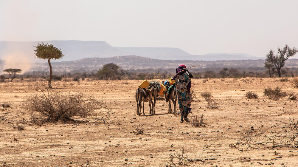 In Ethiopia's Somali region, a camp in the village of Gabi’as shelters hundreds of households displaced by drought.