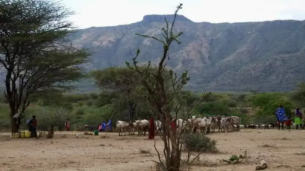 Drought in Kenya proves a setback for eliminating female genital mutilation