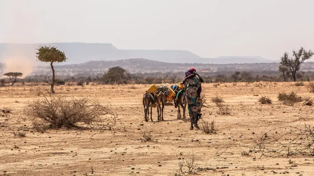 As drought and floods threaten millions in Ethiopia, midwives are a lifeline for pregnant women and newborns