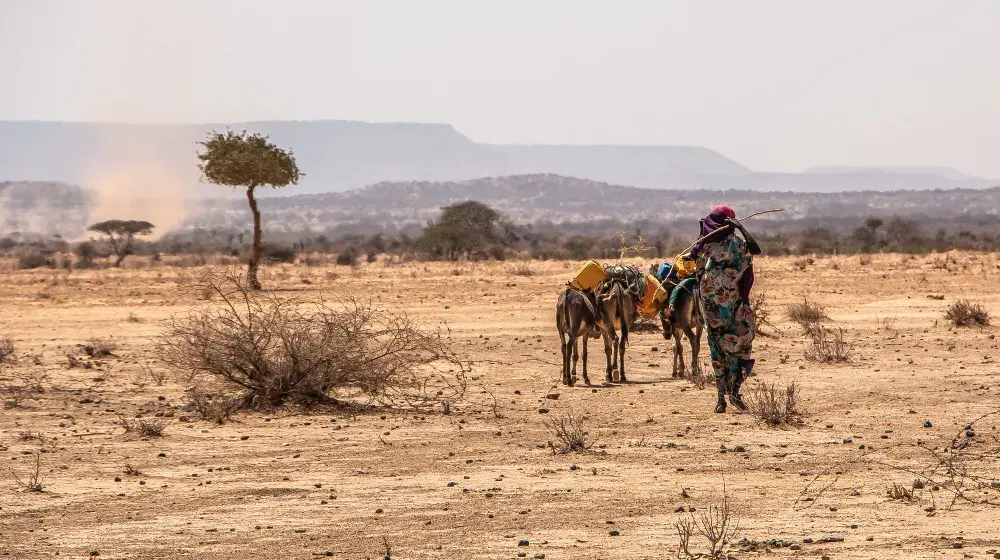 One woman’s winning idea in taking climate action harnesses the power of the sun