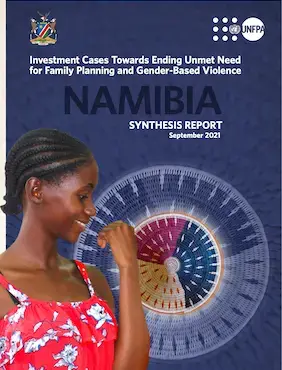 Synthesis report - Namibia: Investment Cases Towards Ending Unmet Need for Family Planning and Gender-Based Violence