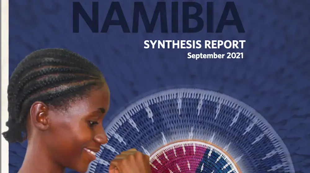 Synthesis report - Namibia: Investment Cases Towards Ending Unmet Need for Family Planning and Gender-Based Violence