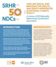 Summary: How are Sexual and Reproductive Health and Rights Represented in National Climate Policy? 